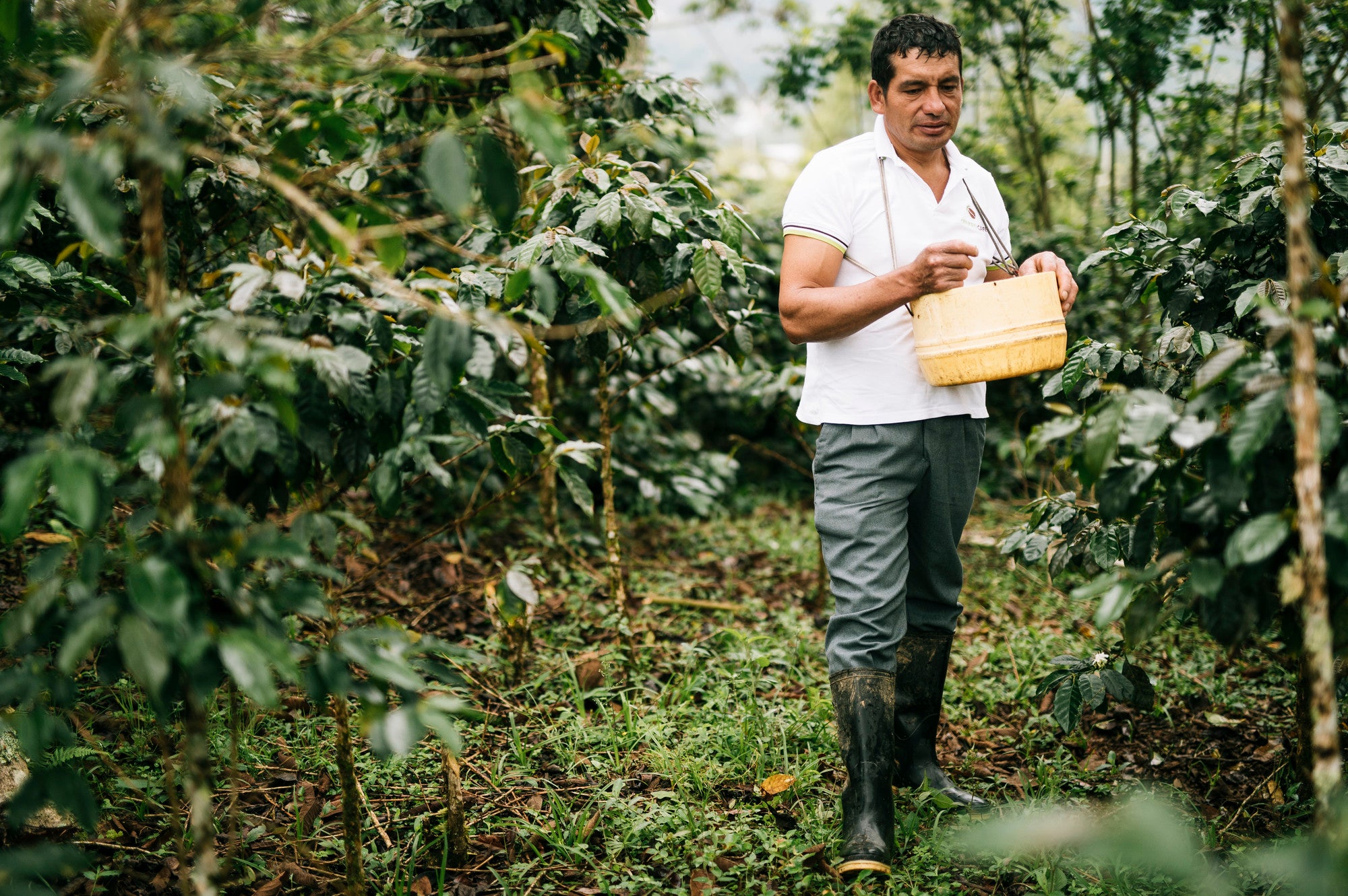 What is FairtradeĀ® and why does it matter to me?